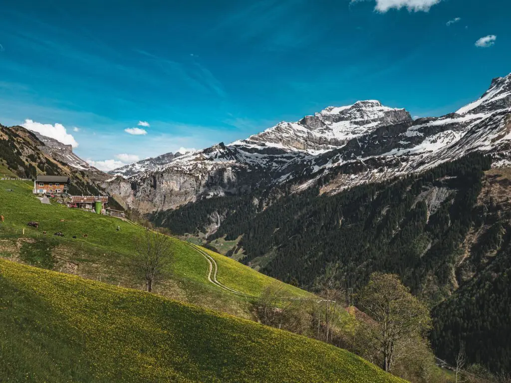 Anglais juridique suisse notaire